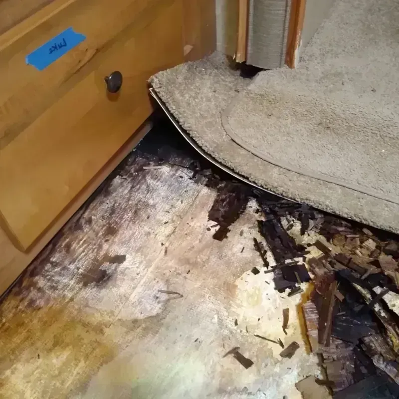 Wood Floor Water Damage in Alma, AR